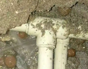 灌云测漏水多少钱