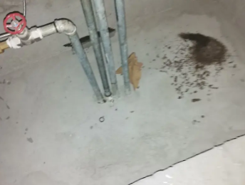 灌云卫生间测漏水价格明细